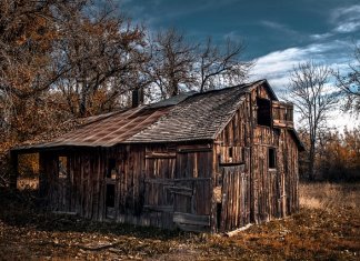 Jakie są etapy budowy domu?